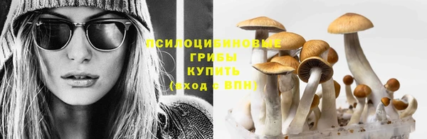тгк Богородицк