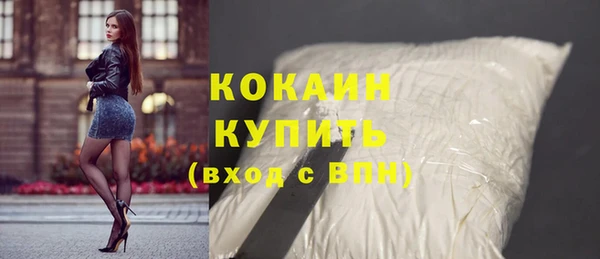 мдпв Верея