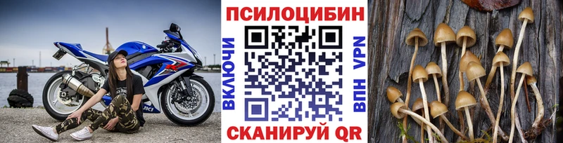цены наркотик Ивангород KRAKEN ссылки площадка какой сайт Псилоцибиновые грибы мицелий