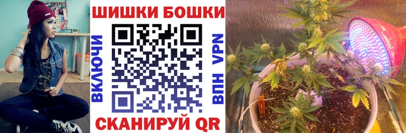 Марихуана сатива  Ивангород 